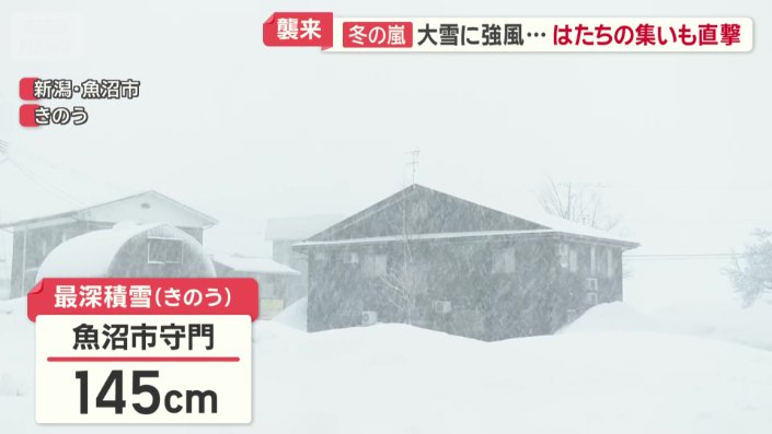 積雪145センチを観測した新潟県魚沼市守門地区