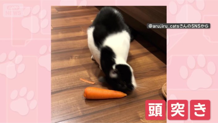 ニンジンにドン！