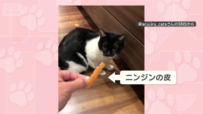 あ！皮だニャン