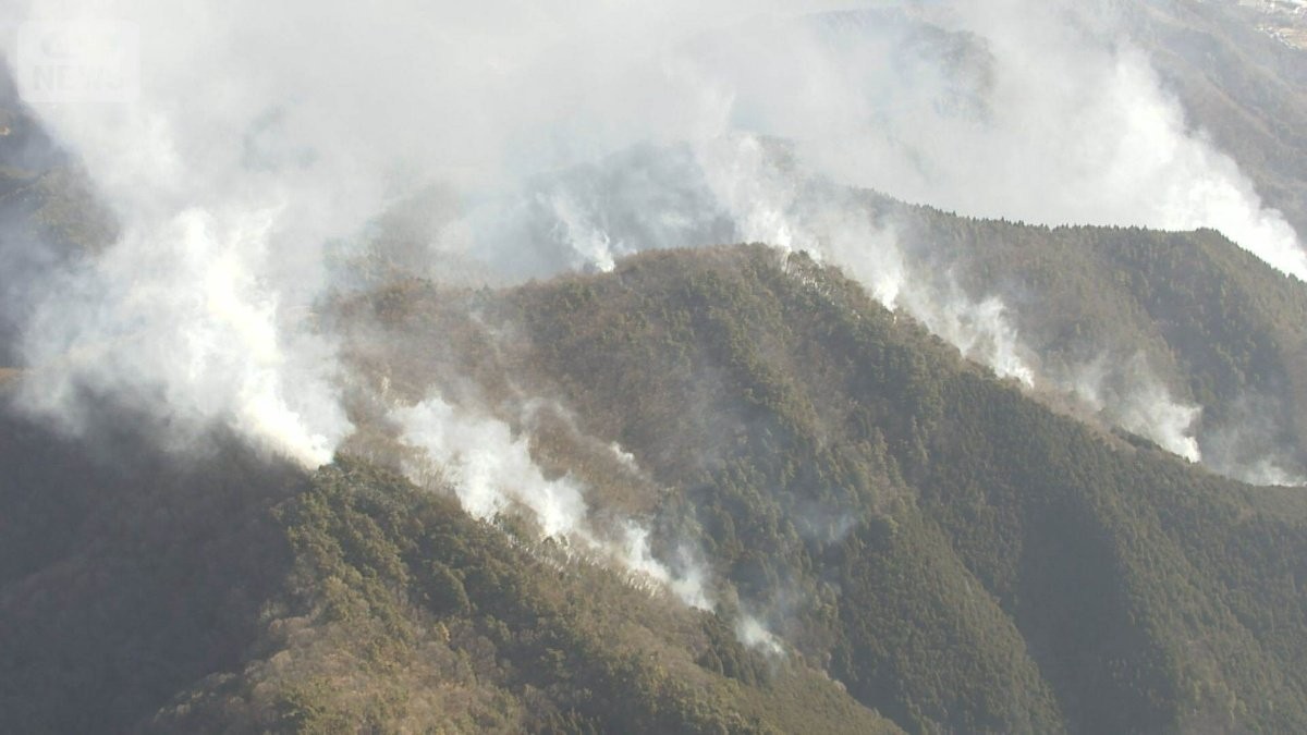 火事「もらい火」で賠償は困難　請求可能は1〜2％　「再調達価額」補償の保険検討を