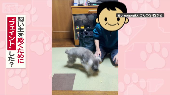 なぜフェイントしたの?