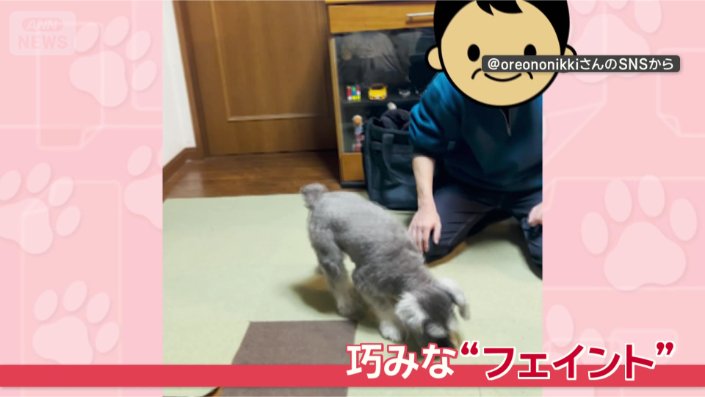 おやつ、いただくワン!