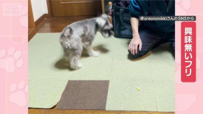 興味はないです…よ?