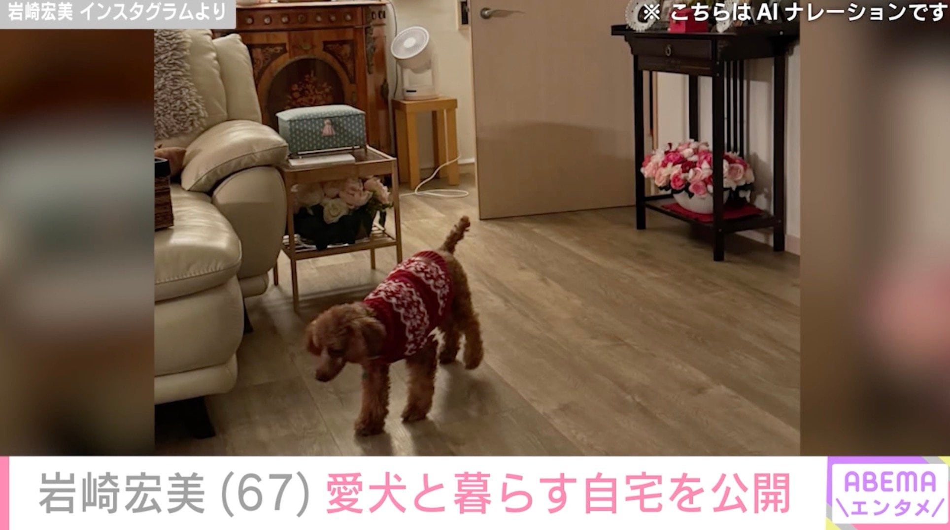 【写真・画像】孫の顔出しが話題 岩崎宏美（67）、愛犬と暮らす自宅での様子にファン「すてきな写真」　2枚目