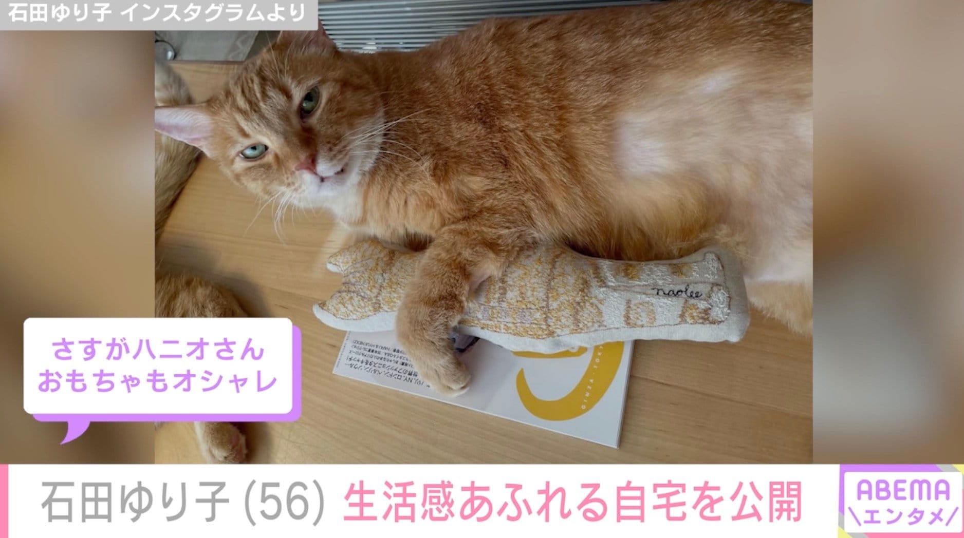 【写真・画像】石田ゆり子(56) 生活感あふれる自宅を公開「おもちゃもオシャレ」「お気に入り感が伝わってくる」 2枚目