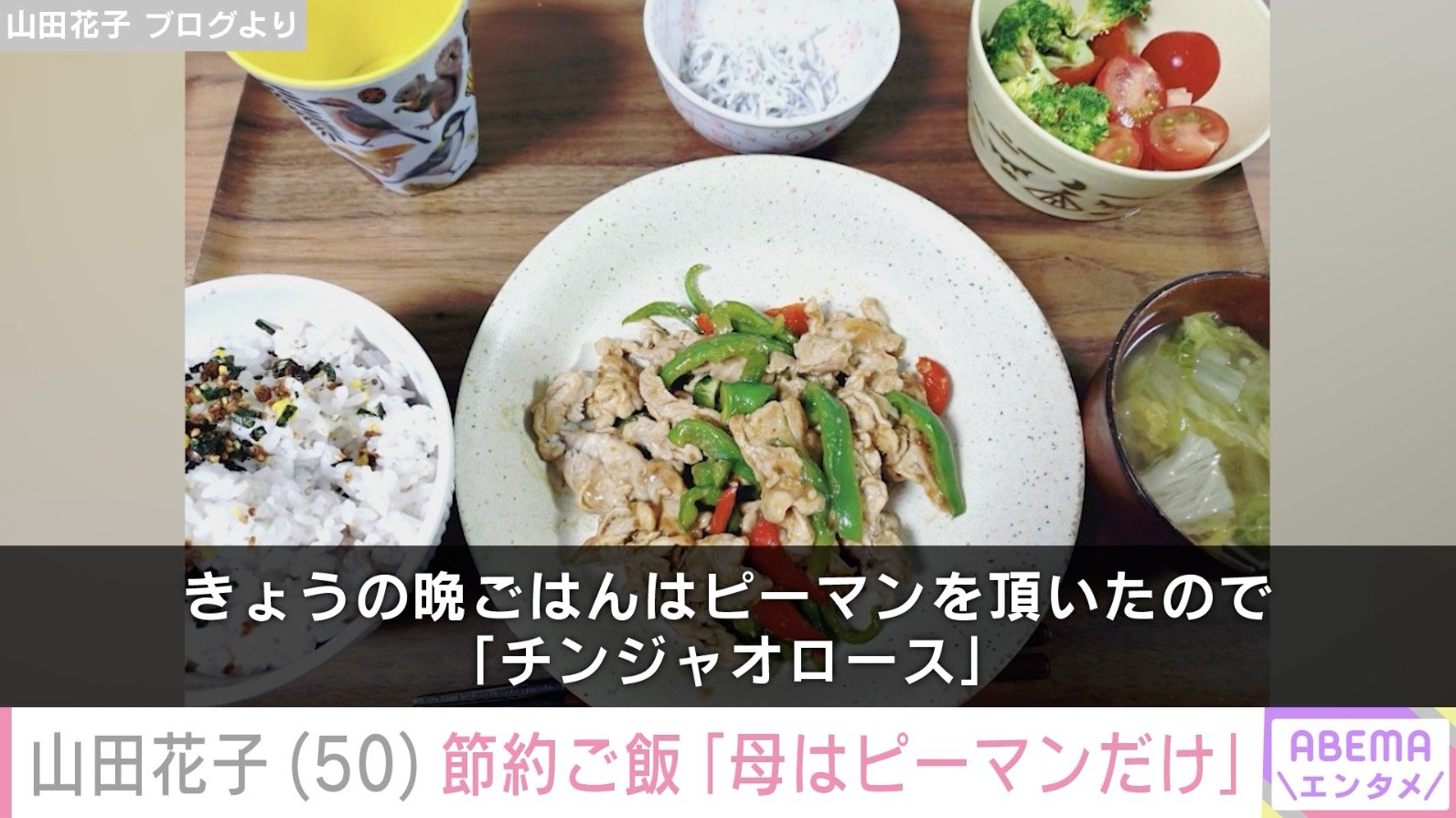 山田花子 ブログより