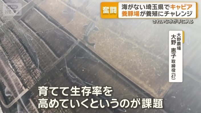 「育てて生存率を高めていくというのが課題」