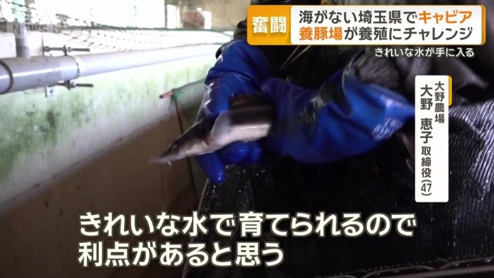 「きれいな水で育てられる」