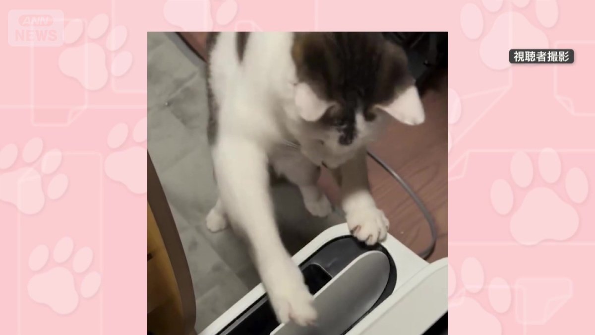 素早いパンチをおみまい