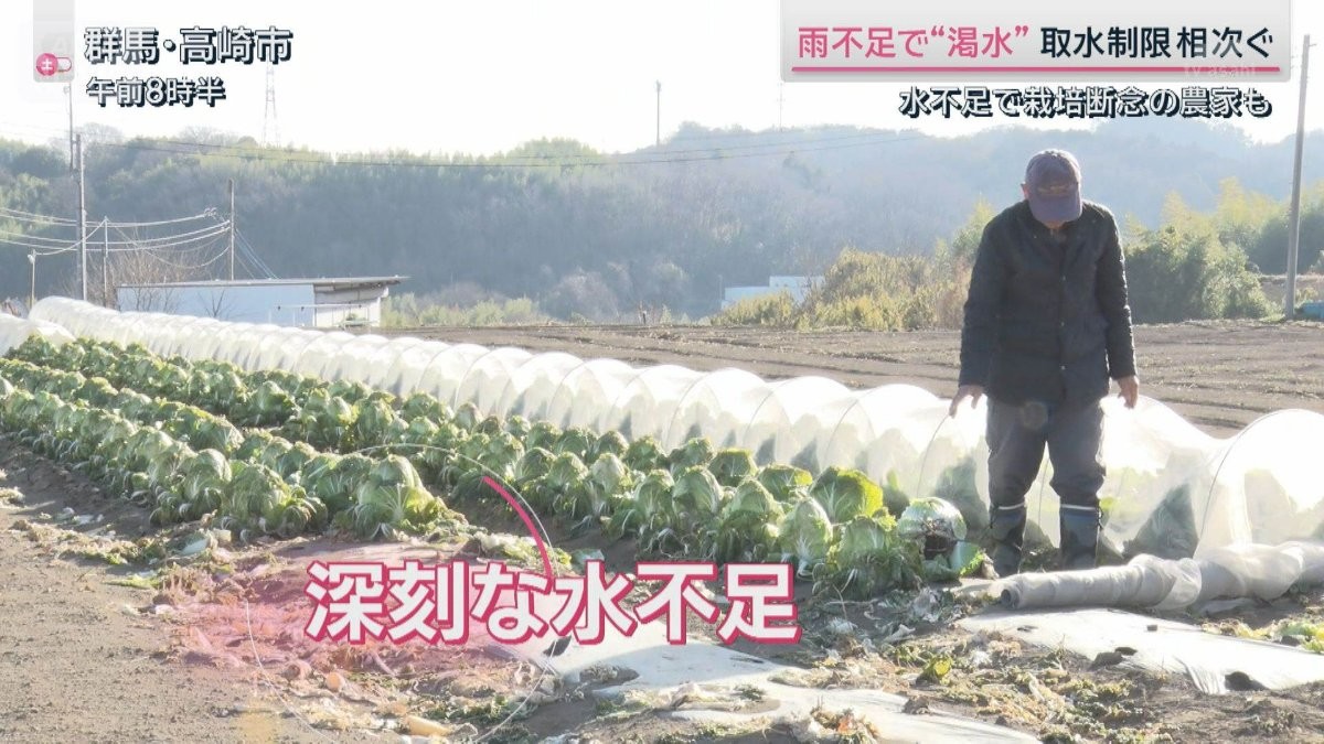 各地で「取水制限」水不足で栽培を断念した農家も 渇水の影響広がる