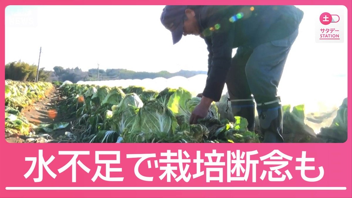 各地で「取水制限」水不足で栽培を断念した農家も 渇水の影響広がる