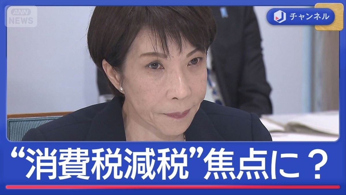 与党も野党も“消費税減税”検討なぜ？狙いを解説