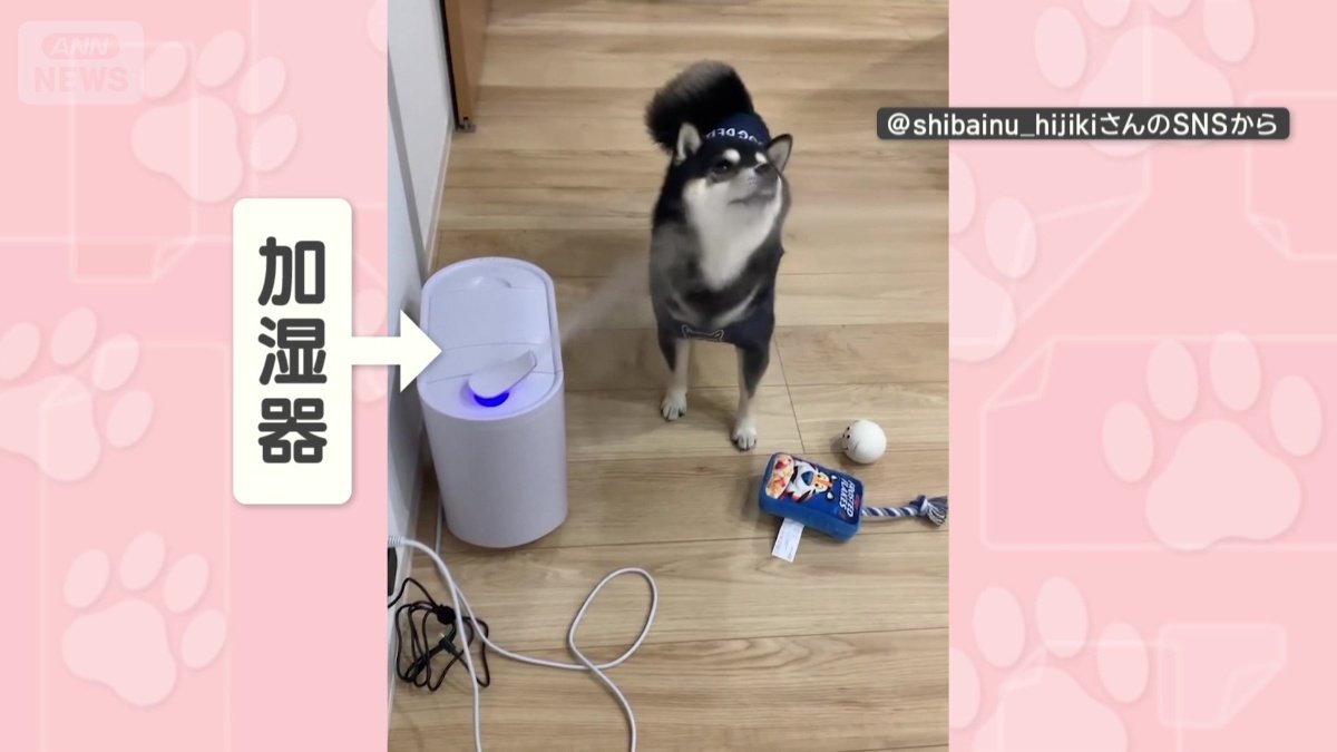 加湿器の近くにいると…