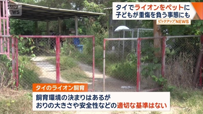 安全性について適切な基準はない