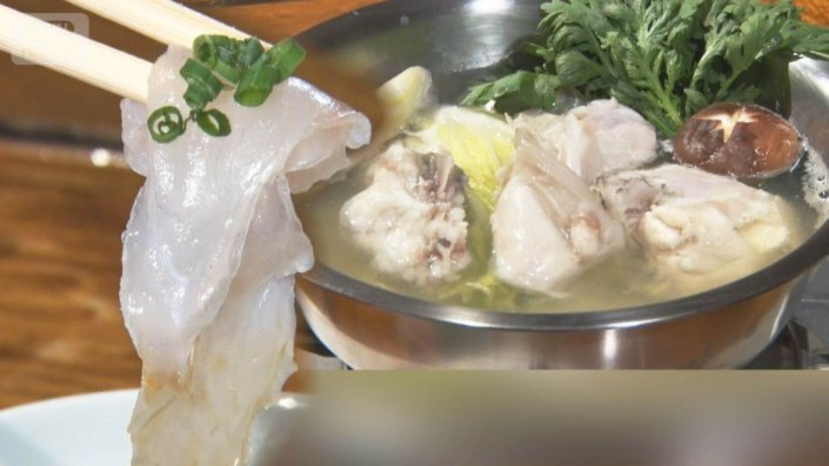 「フグの王様」トラフグ減少　漁獲管理導入なら観光に影響も　「平等に」山口県が要望