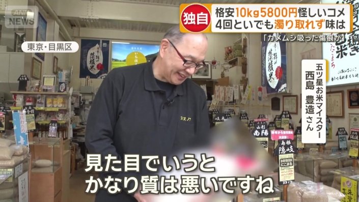 プロに見てもらうと…