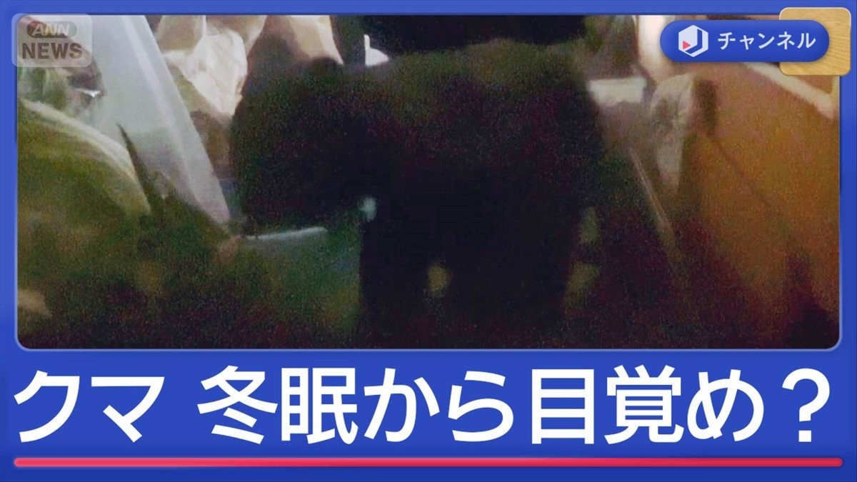 冬眠から目覚め？住宅にクマ出没　“想定外”の一部始終