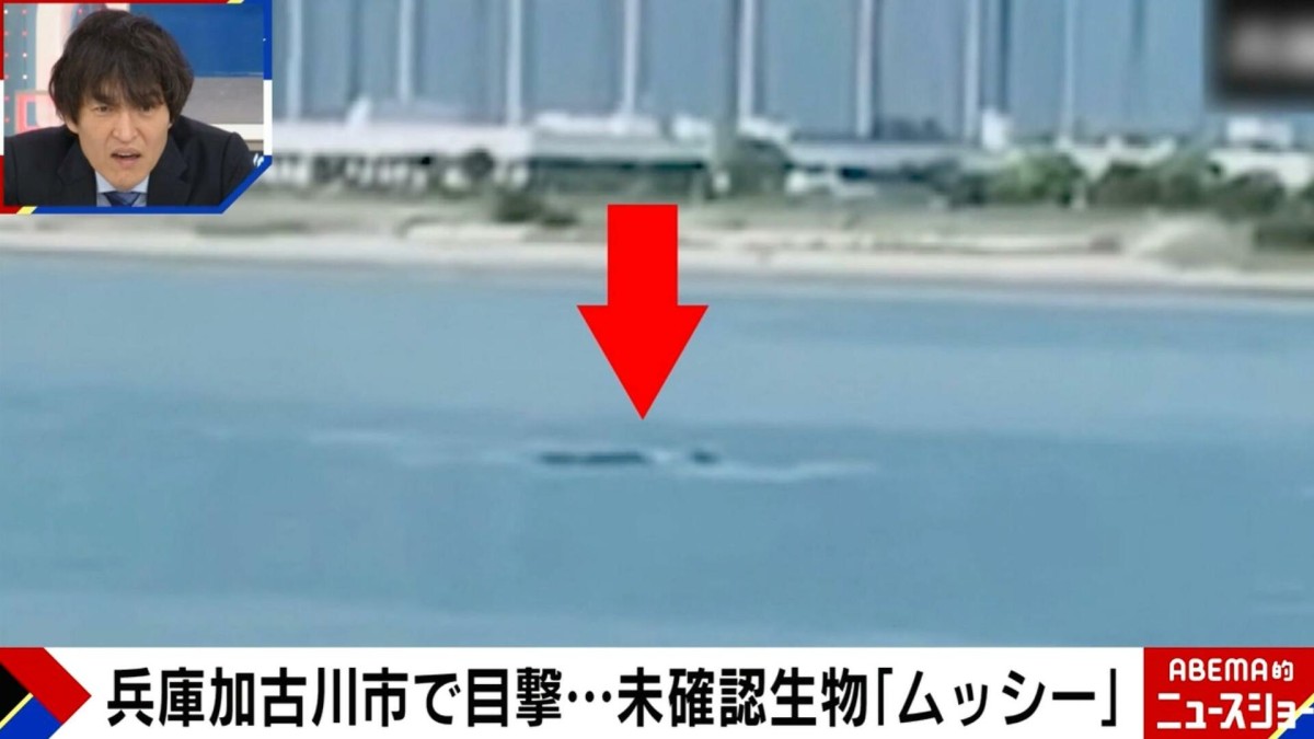未確認生物「ムッシー」兵庫県加古川で目撃されブームも…目撃者が語る「ここ2年は姿が見えない」「あれは怪獣だと思っている」