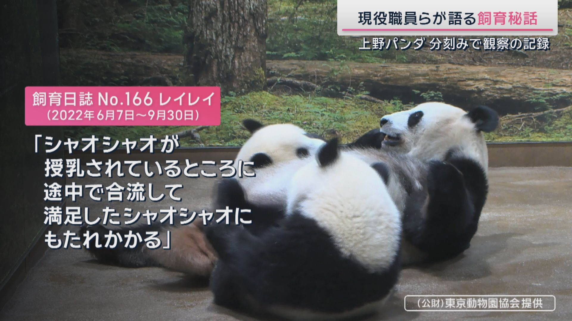 詳細な記録が残されている