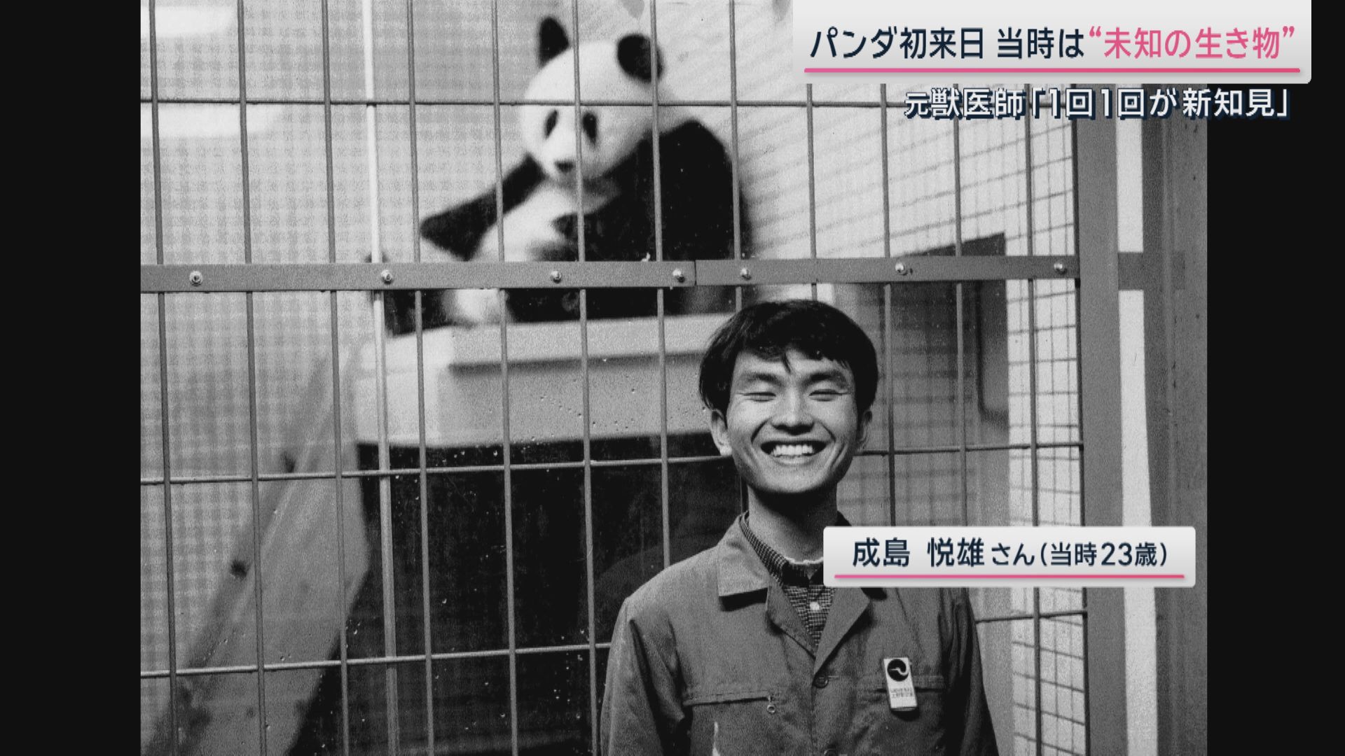 １９７２年に上野動物園に配属された成島さん
