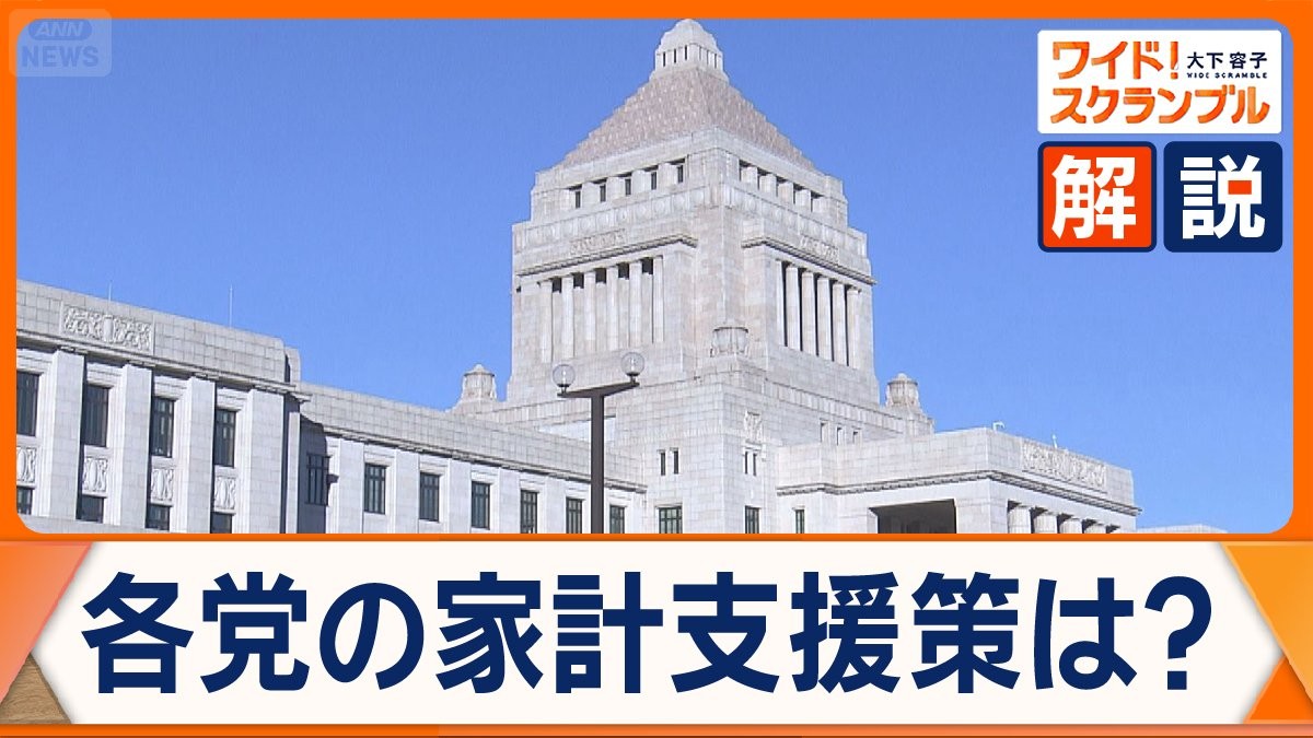 減税競う与野党…市場が警戒　子育て支援は…“多摩川格差”など不公平感にどう対応？