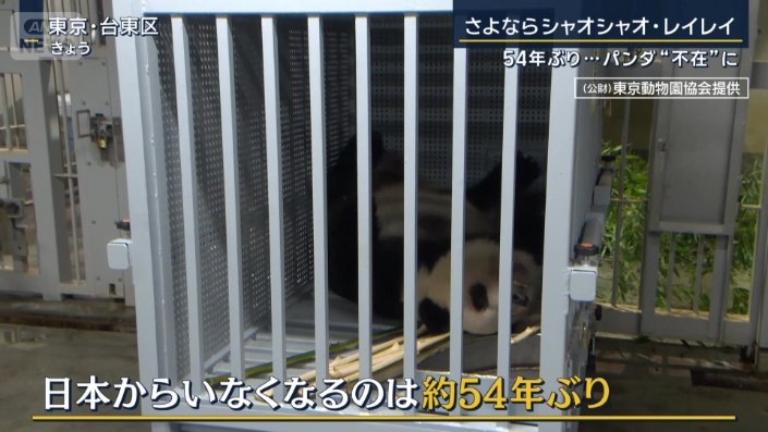 日本からいなくなるのは約54年ぶり