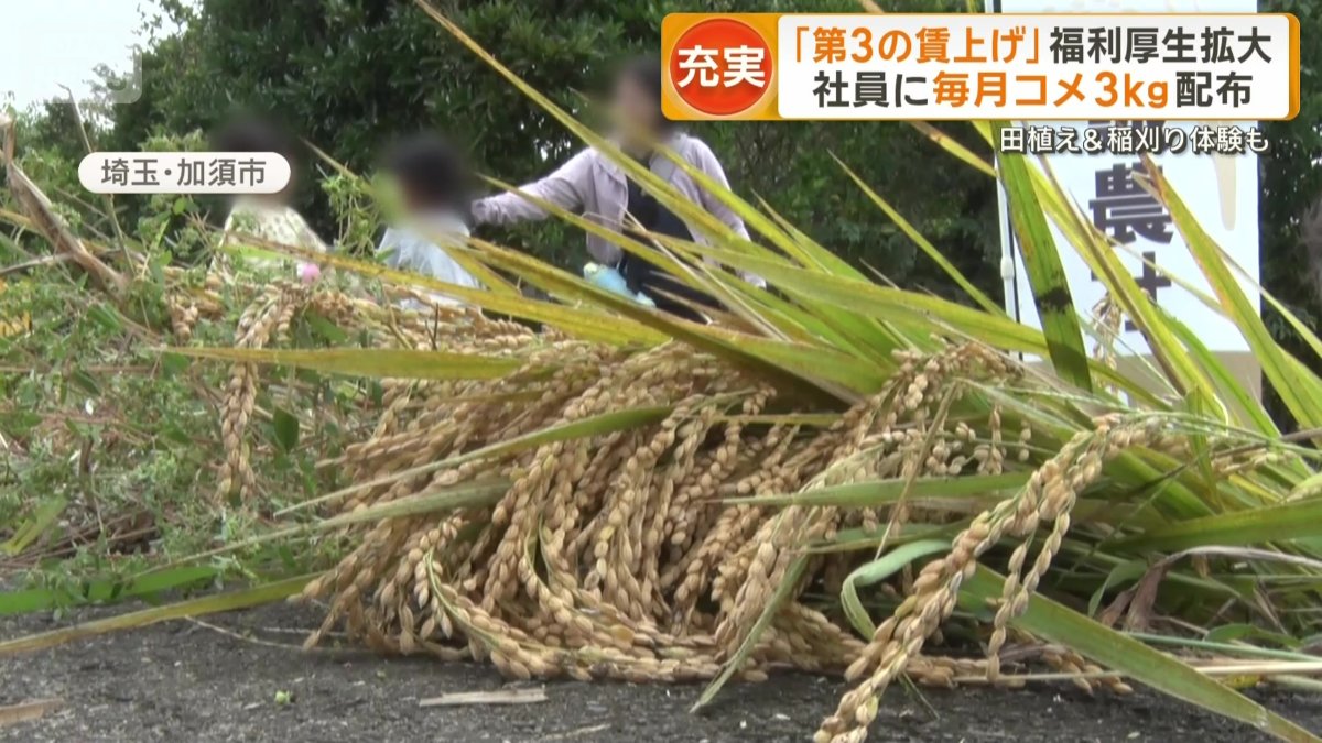 田植えや稲刈りを手伝う研修