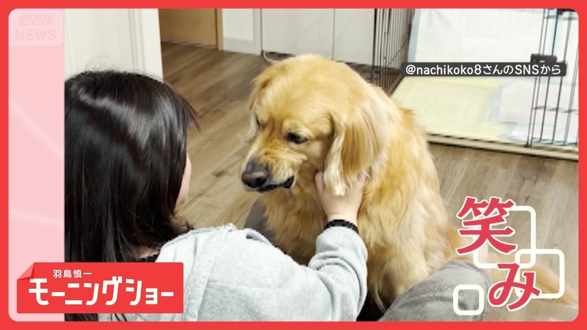 ニヒルな笑み　なでなですると口角上がるワンちゃん　右なら右　左なら左　両方なら？