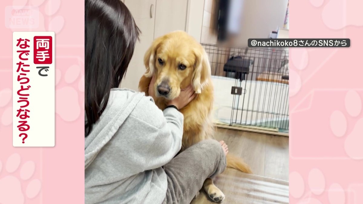 両手でなでたらどうなる?