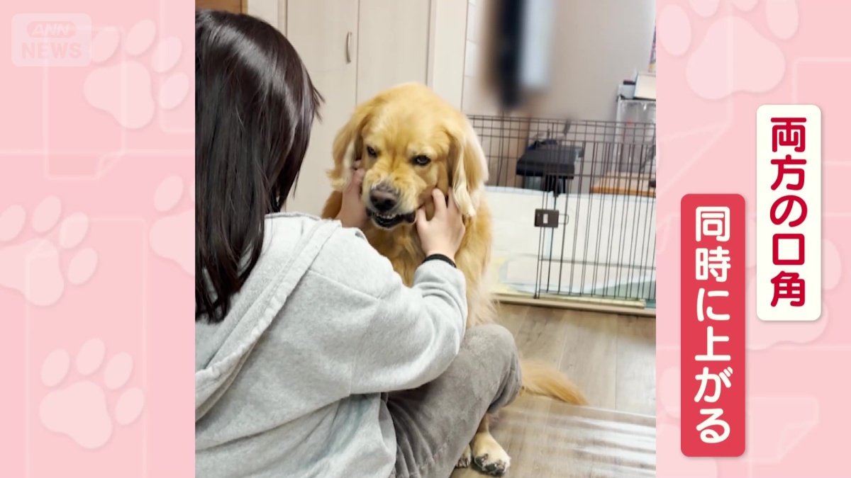 両方の口角が同時に上がる