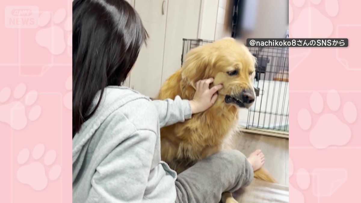 なぜなでられた方だけ口角上がる?