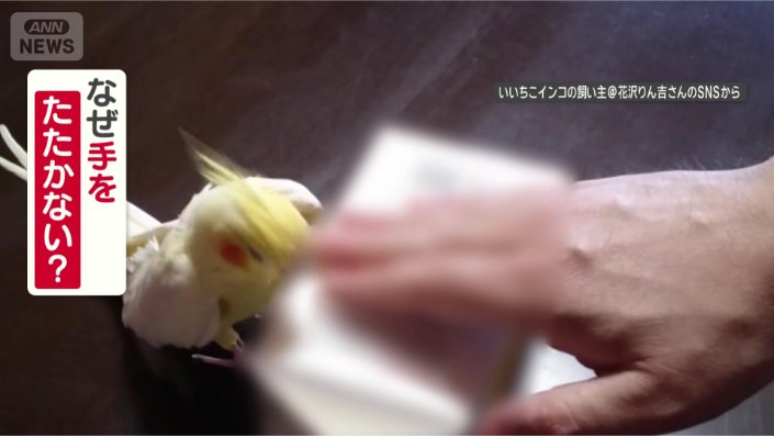 手をたたかないのはなぜ?