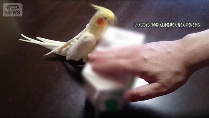 箱トントン楽しい