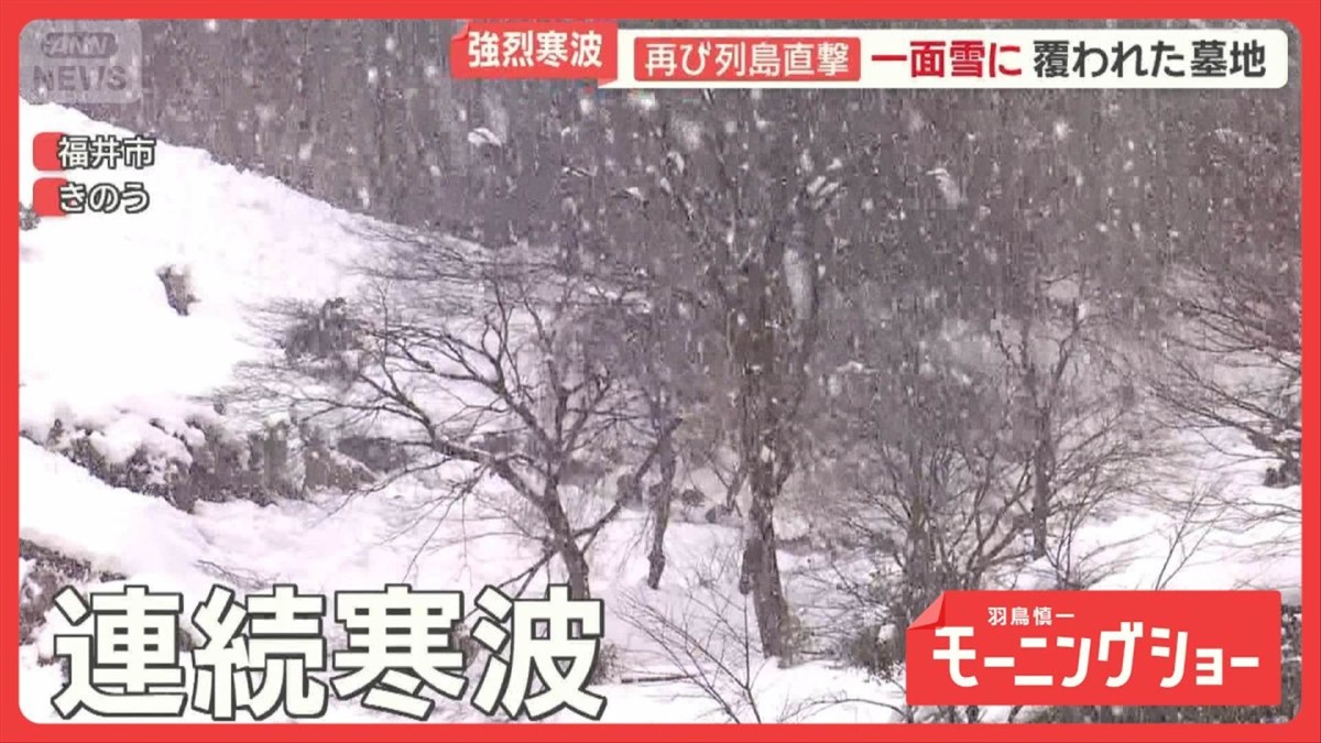 住民悲鳴“連続寒波”で被害続出　積もり続ける雪　「桜の木が」物流も大混乱