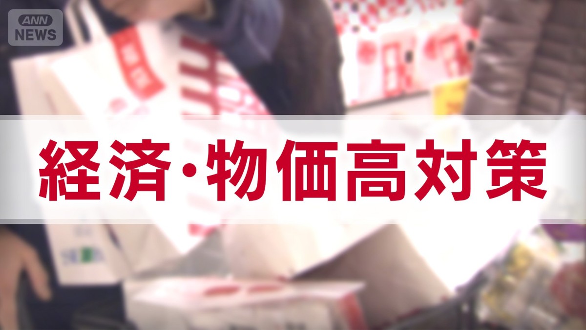 「経済・物価高対策」　主要各党の公約　【衆院選2026】
