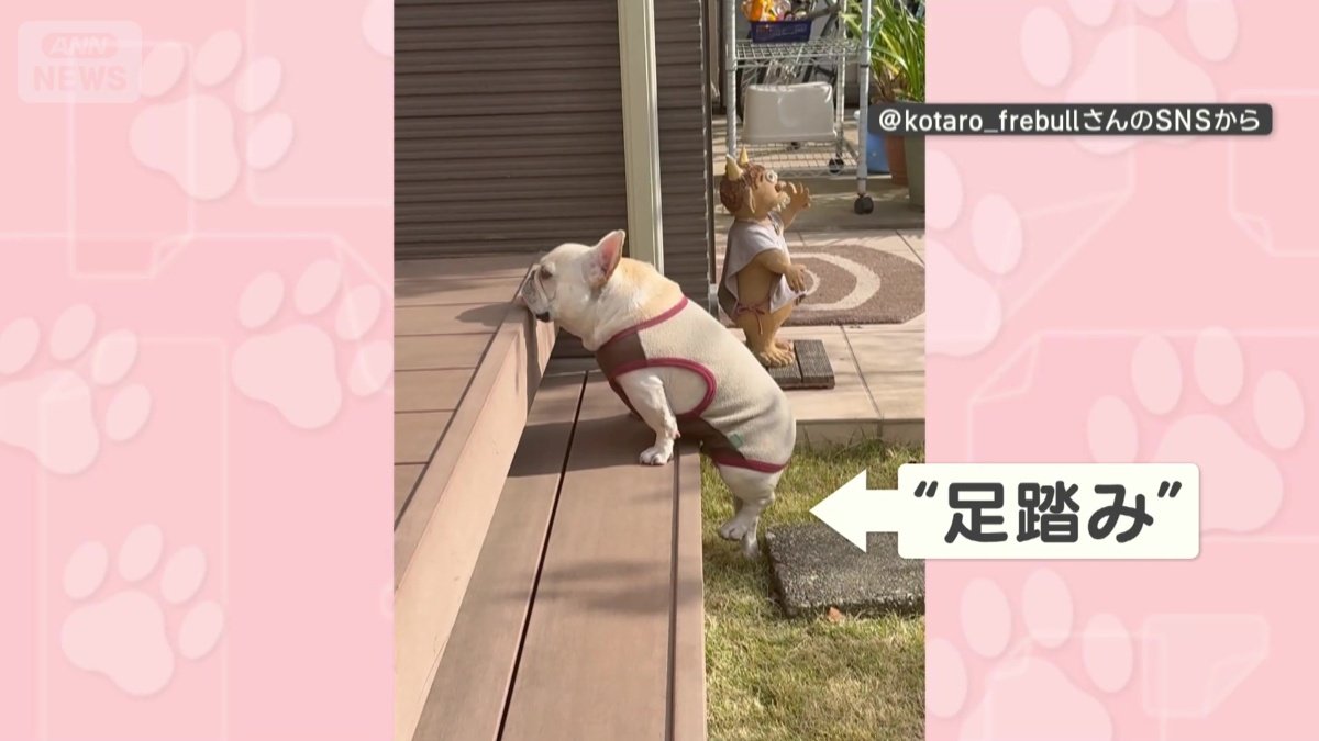 上れない！足踏み状態に