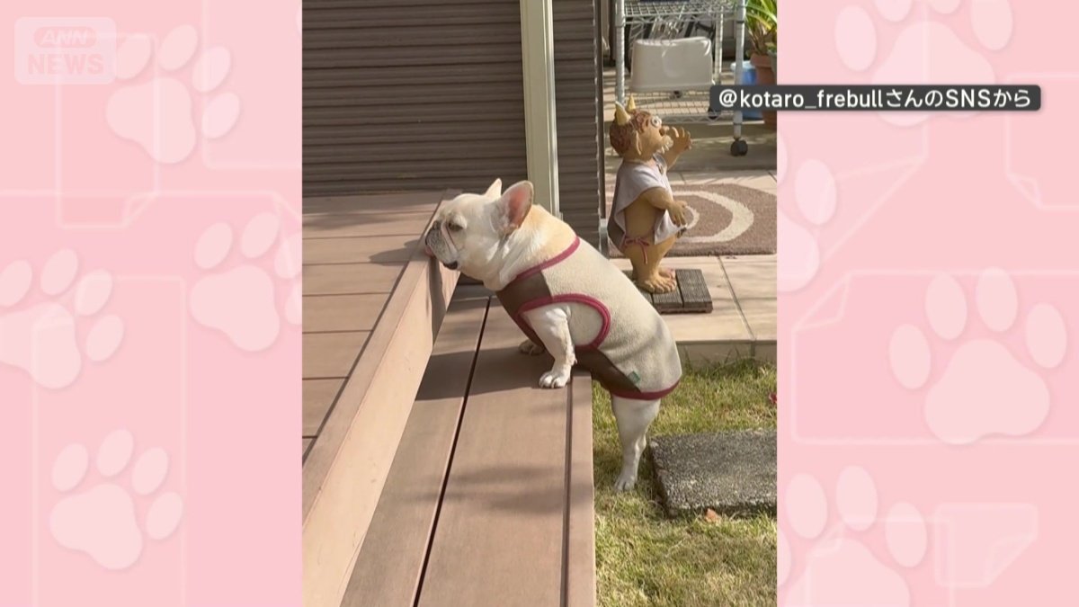 段差に前脚をかける