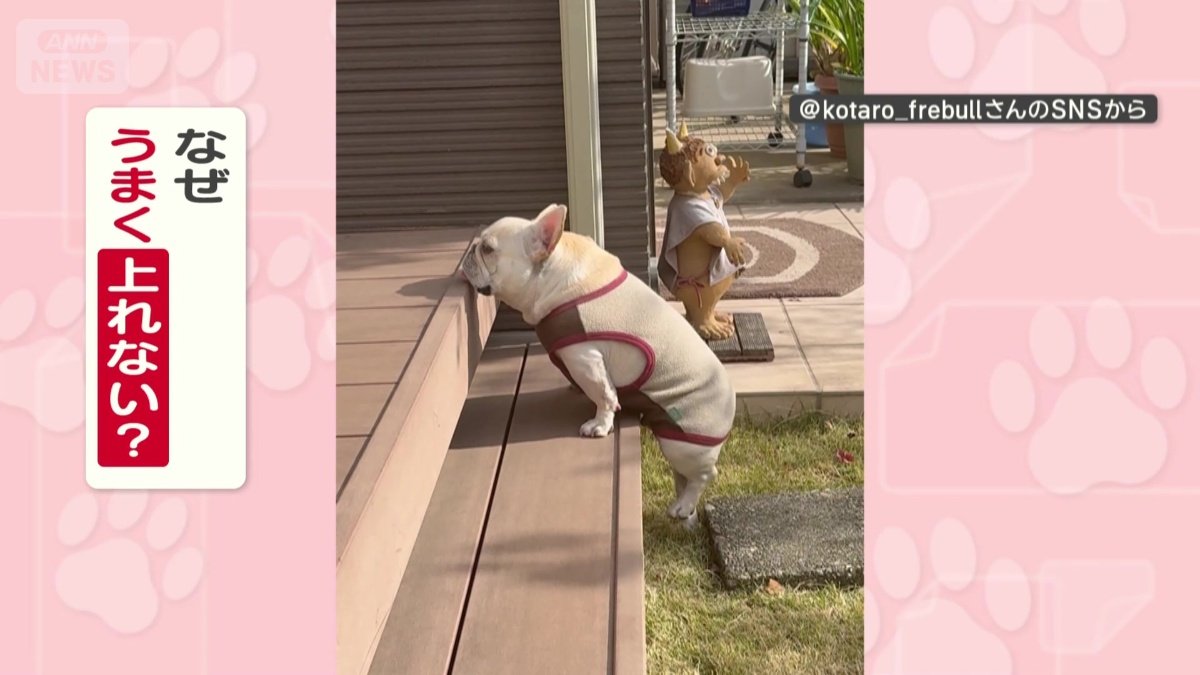 なぜうまく上れない？