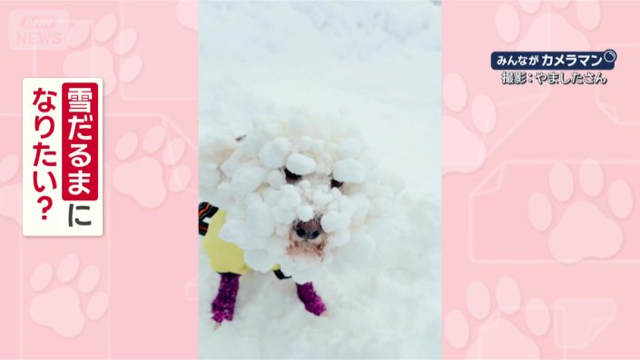 なぜ雪だらけ？