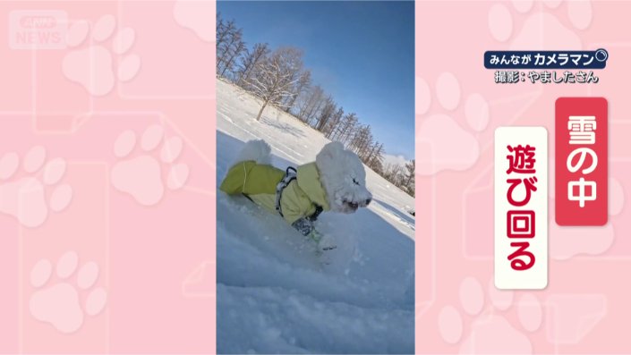 雪たのしい！