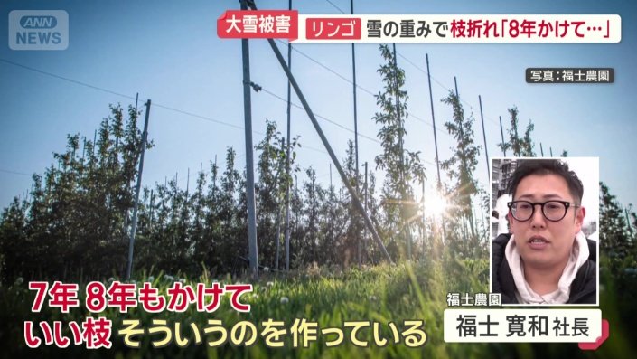 「7年、8年もかけていい枝を作っている」