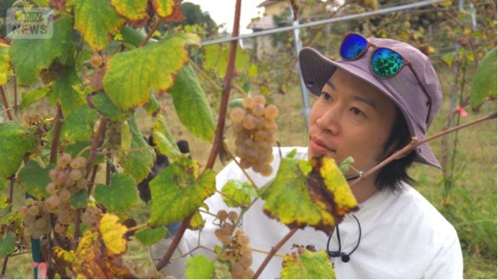 陸前高田初のワイナリーを立ち上げた及川恭平さん（2025年11月）