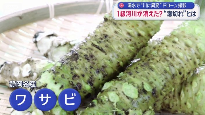 静岡県の名産ワサビ
