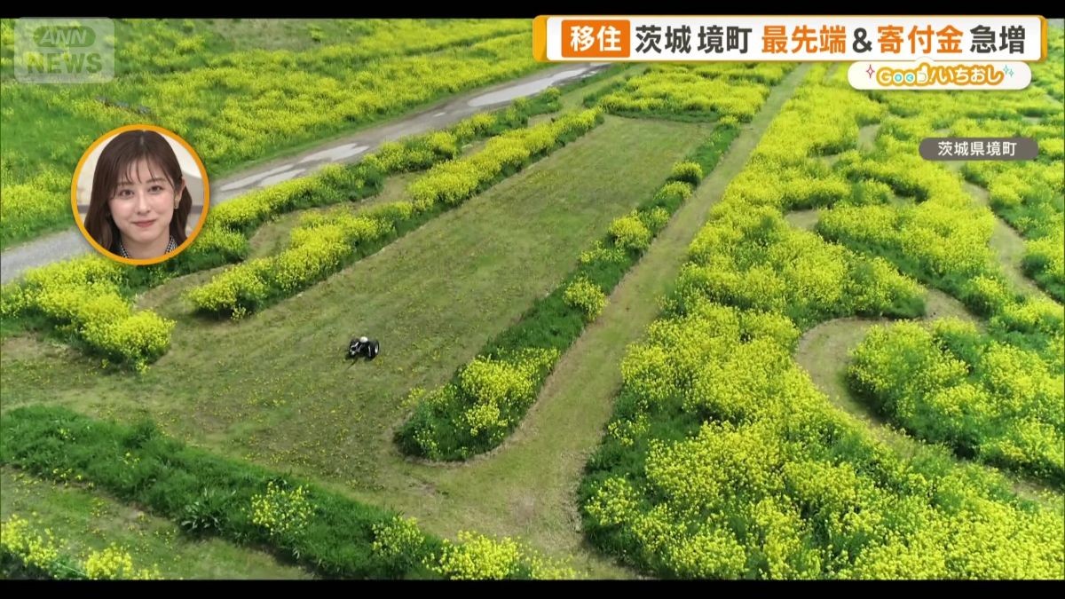 「東京より便利」「本当に暮らしやすい」　移住人気が急上昇中　プロが注目4つの街