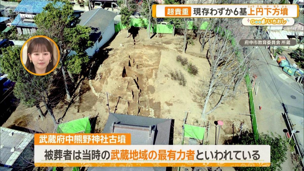 東京で古墳にコーフン！初心者必見、都内珠玉！3つの古墳ツアー