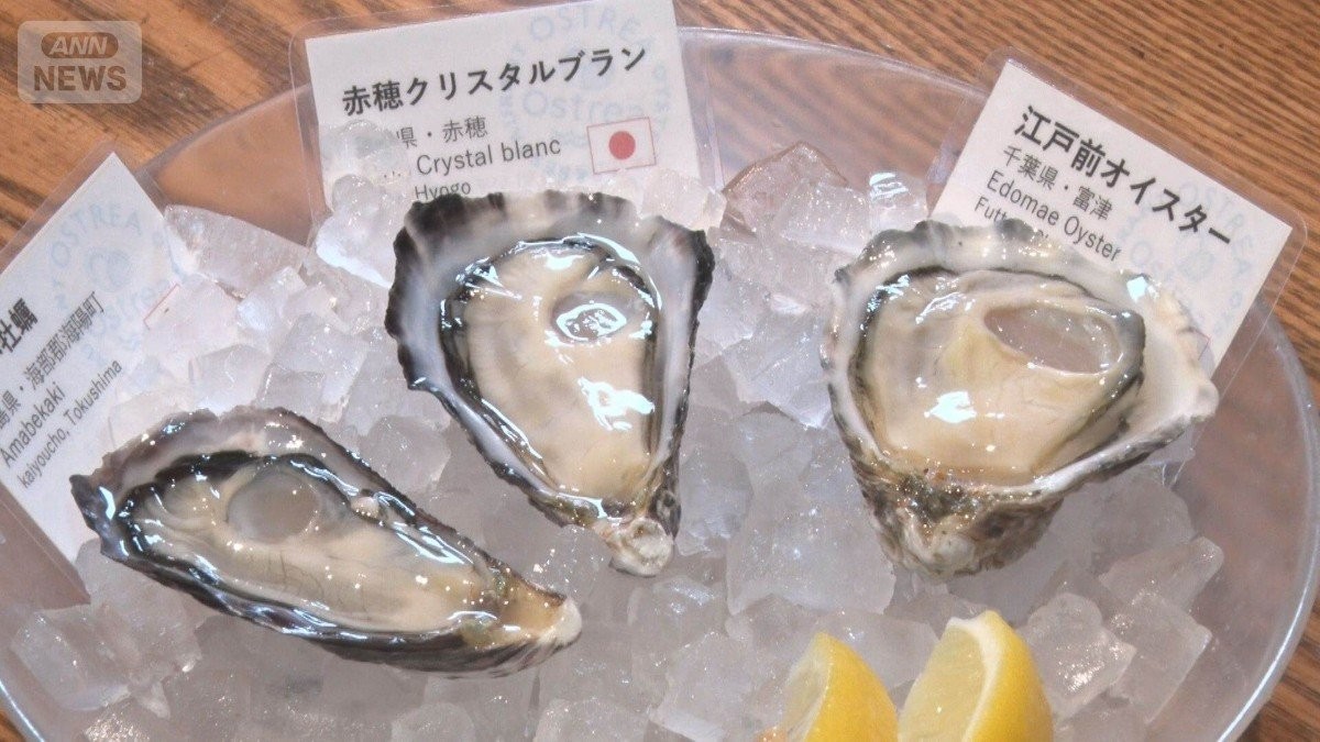 バスケット養殖カキに期待　環境変化に対応できる可能性　栄養が身に集中でおいしく