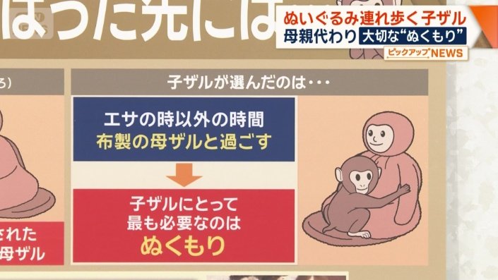 子ザルが選んだのは…