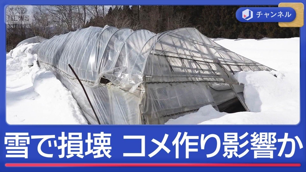 豪雪でコメ倉庫損壊　“コメ作り”ピンチ？