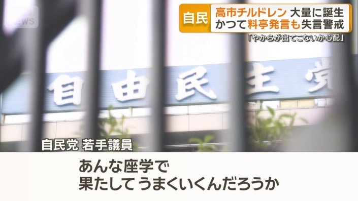 自民党　若手議員