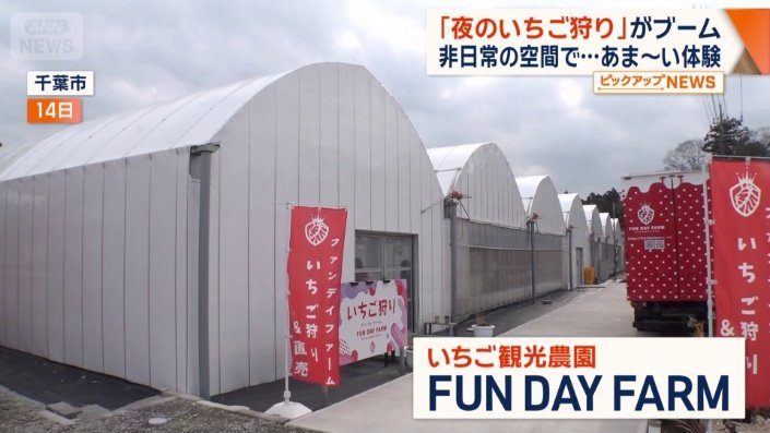 イチゴ農園「FUN DAY FARM」